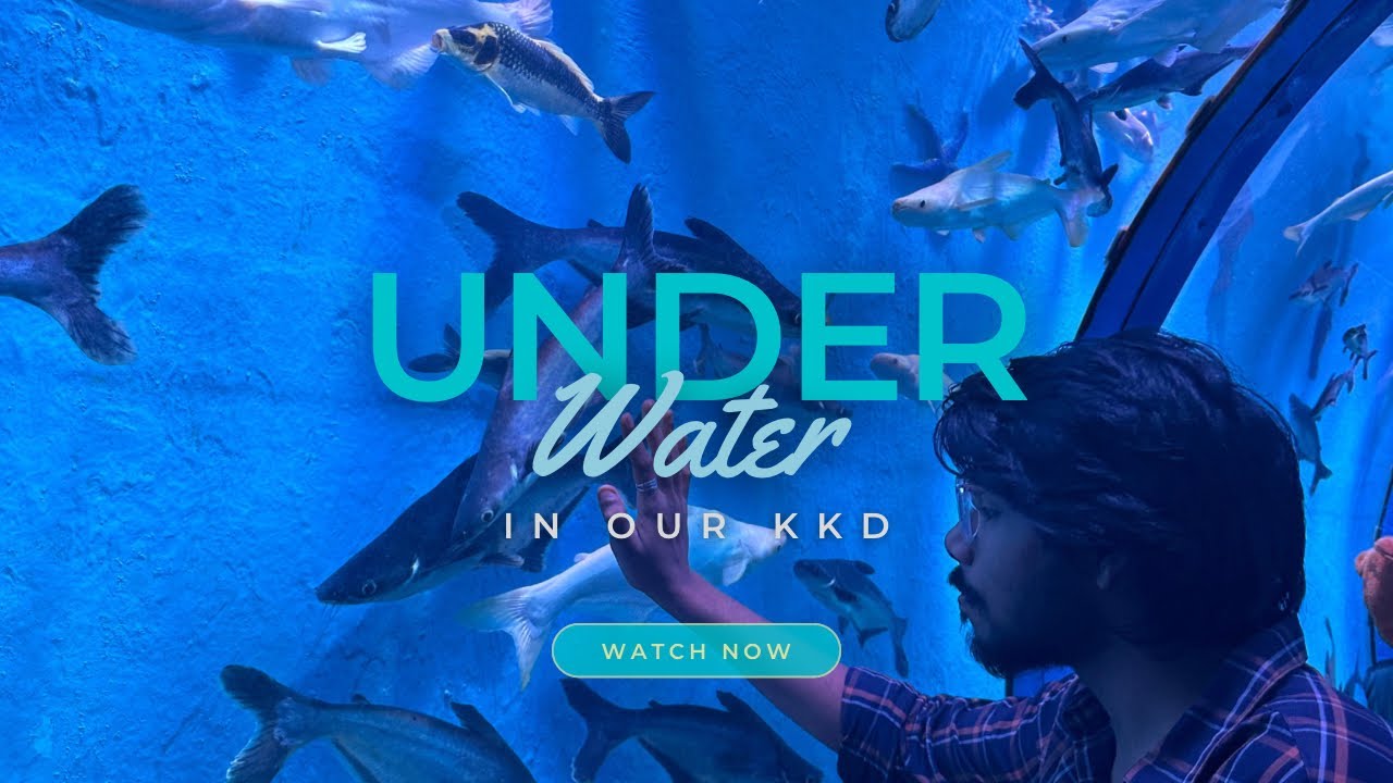 Underwater Tunnel kakinada Awara Aadmi Telugu vlog 