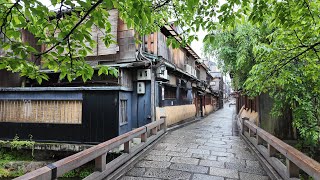 【4K Japan Walk】Explore around Gion Shirakawa, Kyoto
