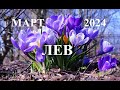 ЛЕВ. ПРОГНОЗ ОСНОВНЫХ СОБЫТИЙ на  МАРТ 2024 года. Татьяна Шаманова