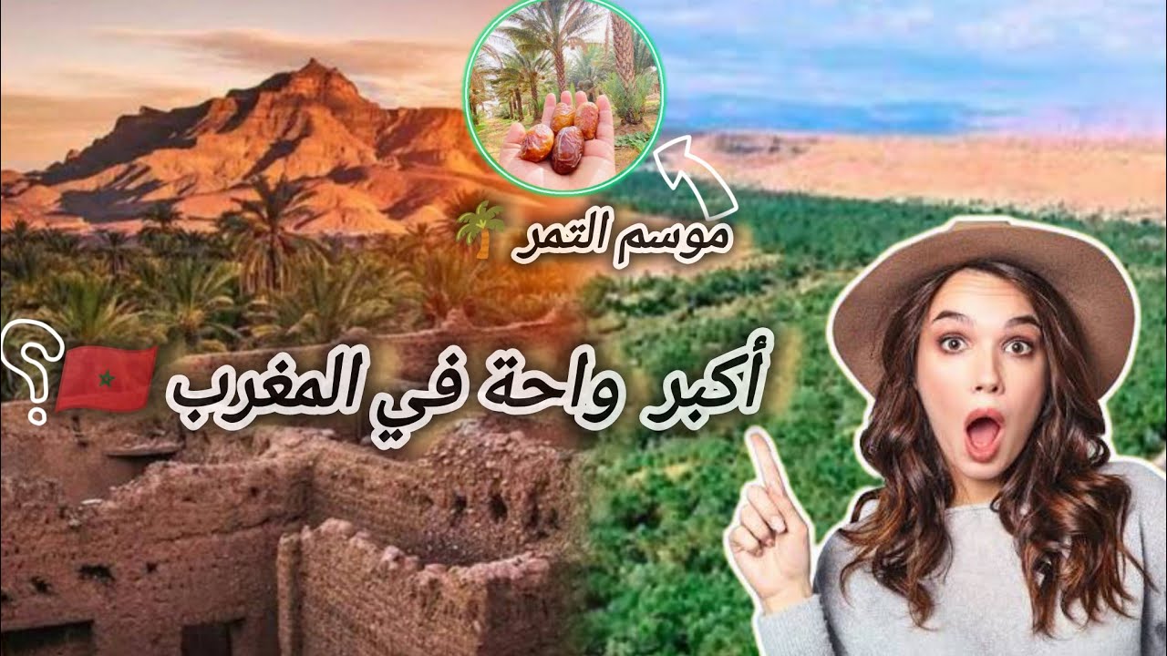من قلب أكبر واحة في المغرب 🇲🇦 ما السر وراء جذبها لعدد كبير من السياح؟ 🤔| موسم التمور 🌴😍