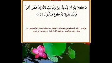 الجزء السادس عشر من القرآن الكريم 🔹️التلاوة السريعة / جزء ١٦ استاد معتز آقائي