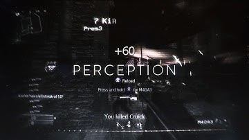 PERCEPTION: A Multi-CoD Montage