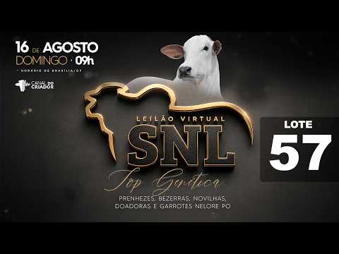 LOTE 57   SNL 3030 2951