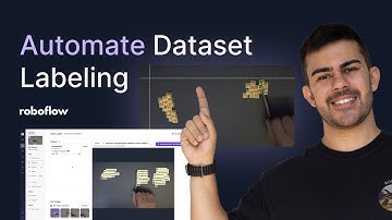 Auto Labeling Image Data | How to Annotate a Dataset and Train a Vision AI Model