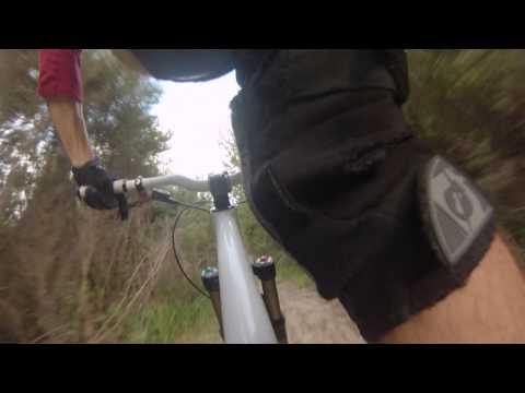 Riverhead - Transition Bottle Rocket