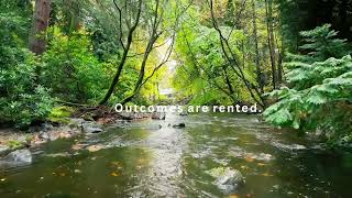 Effort vs Outcome: The Stoic Rule for Inner Freedom