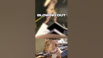 How Did Lethal Company Get SO Huge? #shorts