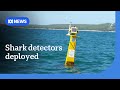 Two shark detectors set to be deployed in Sydney Harbour amid spate of attacks | ABC NEWS