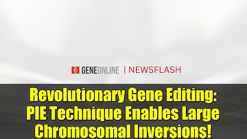 Revolutionary Gene Editing: PIE Technique Enables Large Chromosomal Inversions!