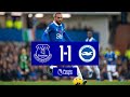 Everton Brighton goals and highlights