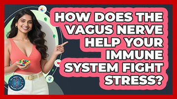 How Does The Vagus Nerve Help Your Immune System Fight Stress? - All About the Immune System
