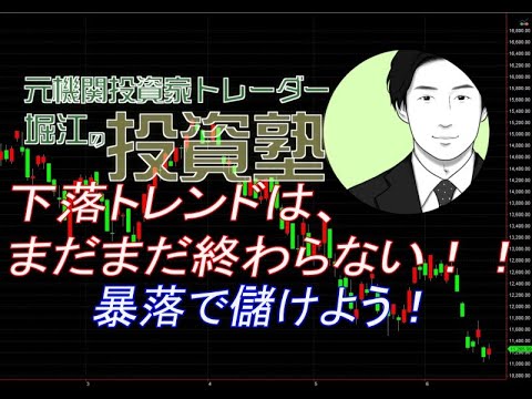 下落トレンドはまだまだ終わらない！！暴落で儲けよう！