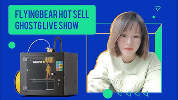 Flying Bear 3D Printer Live Show