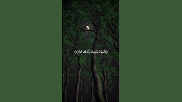 سورة: الضحى/القارئ: ماهر المعيقلي 🤍