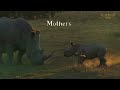 Great plains honouring mothers  great plains conservation