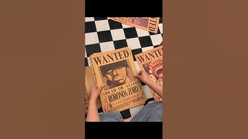 One Piece Wanted posters