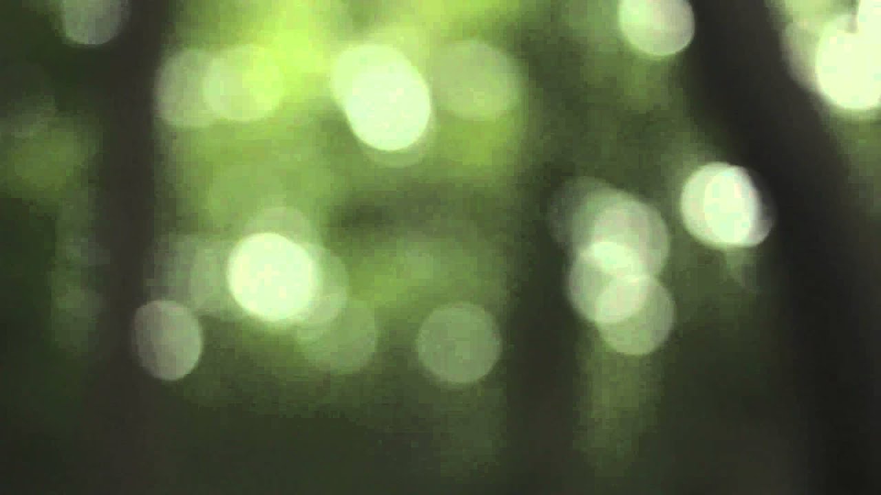 Guarda Martin Kohlstedt - ANT (klinke auf cinch remix) VIDEO CLIP su YouTube Guarda Martin Kohlstedt - ANT (klinke auf cinch remix) VIDEO CLIP su YouTube