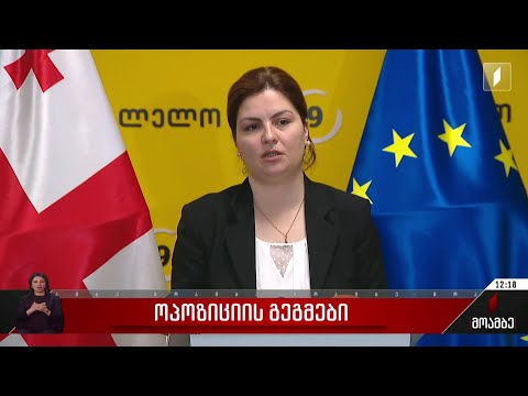 ოპოზიციის გეგმები