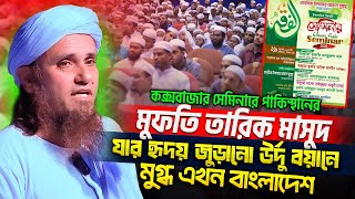 Qanday qilib mushukni togri massaj qilish kerak