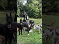 Just some of my old work — Marc Jacobs-inspired shoot #doglife #youtube #fypシ #nycdogs #dogwalker