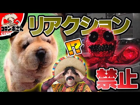 【絶対笑う】ノーリアクションチャレンジをやってみた！