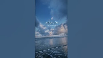 (يا حسرة على العباد)♥️ للقارئ شريف مصطفى🎧تلاوة تنسيك هموم الدنيا🌹 ماشاء الله صوته💙