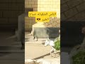 الناس الشقيانة قي مصر
