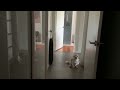 Welcome To MixelMason’s First YouTube Video!