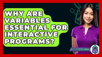 Why Are Variables Essential For Interactive Programs? - Next LVL Programming