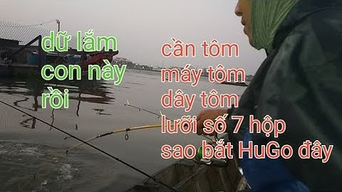 ĐỤNG ĐỘ HUGO BÈ AN BÌNH - 2 TAY CHỊU CẦN MÀ PEN CỨ RÍT NHƯ ĐIÊN - CON CÁ MẠNH QUÁ - VIDEO 182