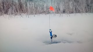 Ловля щуки на жерлицы. Обзор самодельных жерлиц.