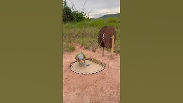 Innovative Great Parrot TRAP #shorts