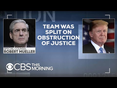 Special counsel team