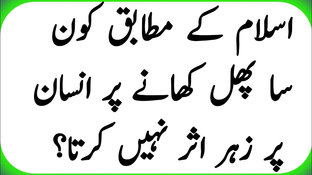 Sawal Jawab - Islamic Questions and Answers - Urdu Islami Paheliyan - Urdu Quiz - Islamic LE222