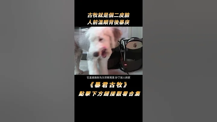 古牧就是個二皮臉，人前溫順背後暴戾，沒想問題竟然出在主人身上#shorts - 天天要聞