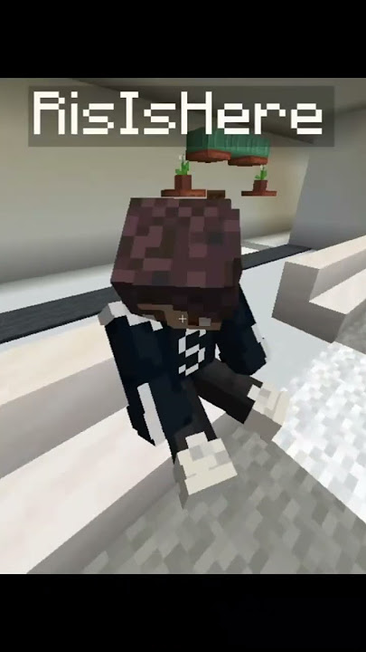 Mr RIS Being Weird 😑 | Minecraft Bangla Gameplay #shorts