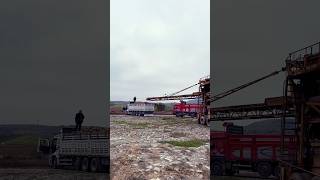 Şeker Pancarı