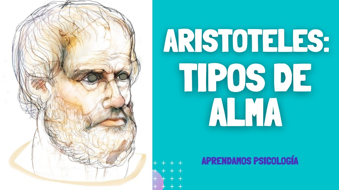 Cuáles son los Tipos de Alma de Acuerdo con Aristóteles? - YouTube