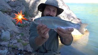 Balık Avı Float Fishing For Rainbow Trout