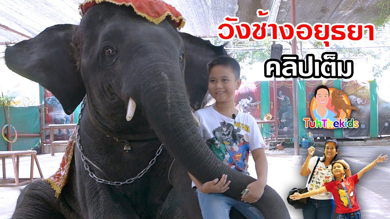 เที่ยวอยุธยา 2019 ขี่ช้างน่ารัก วังช้างอยุธยาแลเพนียด | Amazing ไทยเท่ Vlog EP118 เต๋อพาเที่ยว