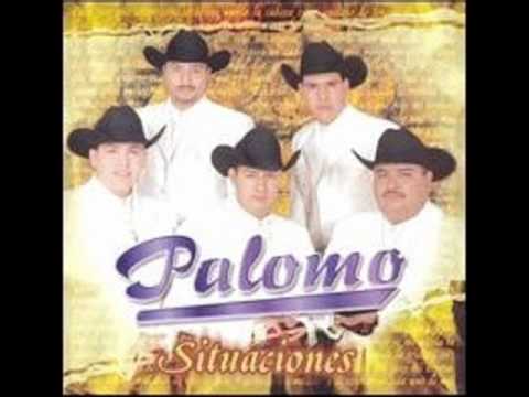 Solo dime - Palomo