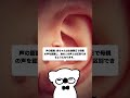 赤ちゃん育児がもっと楽しくなる！知られざる雑学 #雑学　#育児