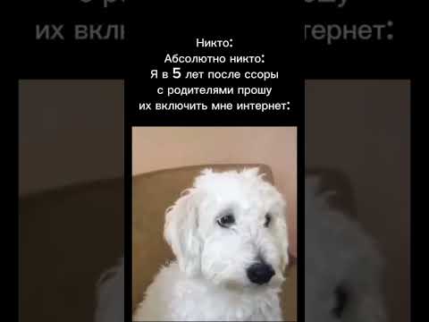 Мем #жиза #ржака #смешно #mem #meme #memes #мем #youtube #shorts #youtubeshorts #рекомендации