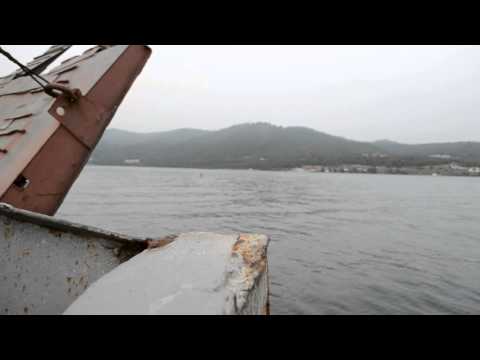 Βίντεο: Βαϊκάλη, άγρια ζωή. Λίμνη Βαϊκάλη, Ρωσία