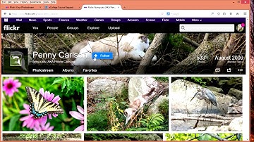 How to Set Up Your Flickr Account and Post to the Photography 250 Assignment Group