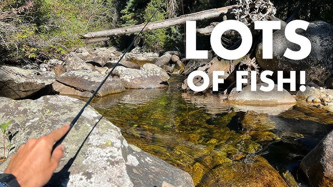 Trying Out the Cheapest Japanese-Made Tenkara Rod (Tenkara Fly Fishing) 