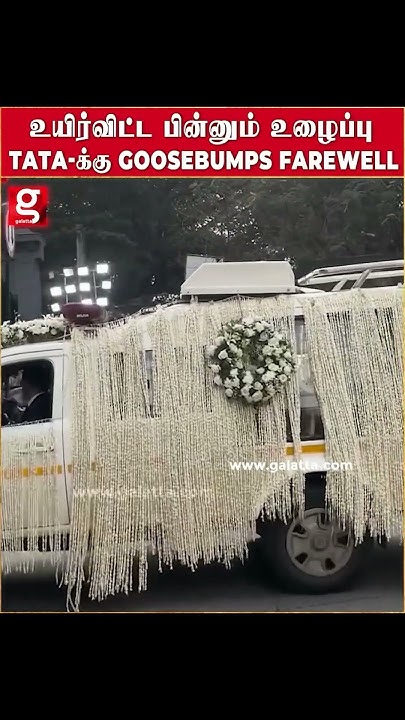 An Unexpected Farewell: Baumgartner'S Partner'S Goosebumps Video - 80uhr32