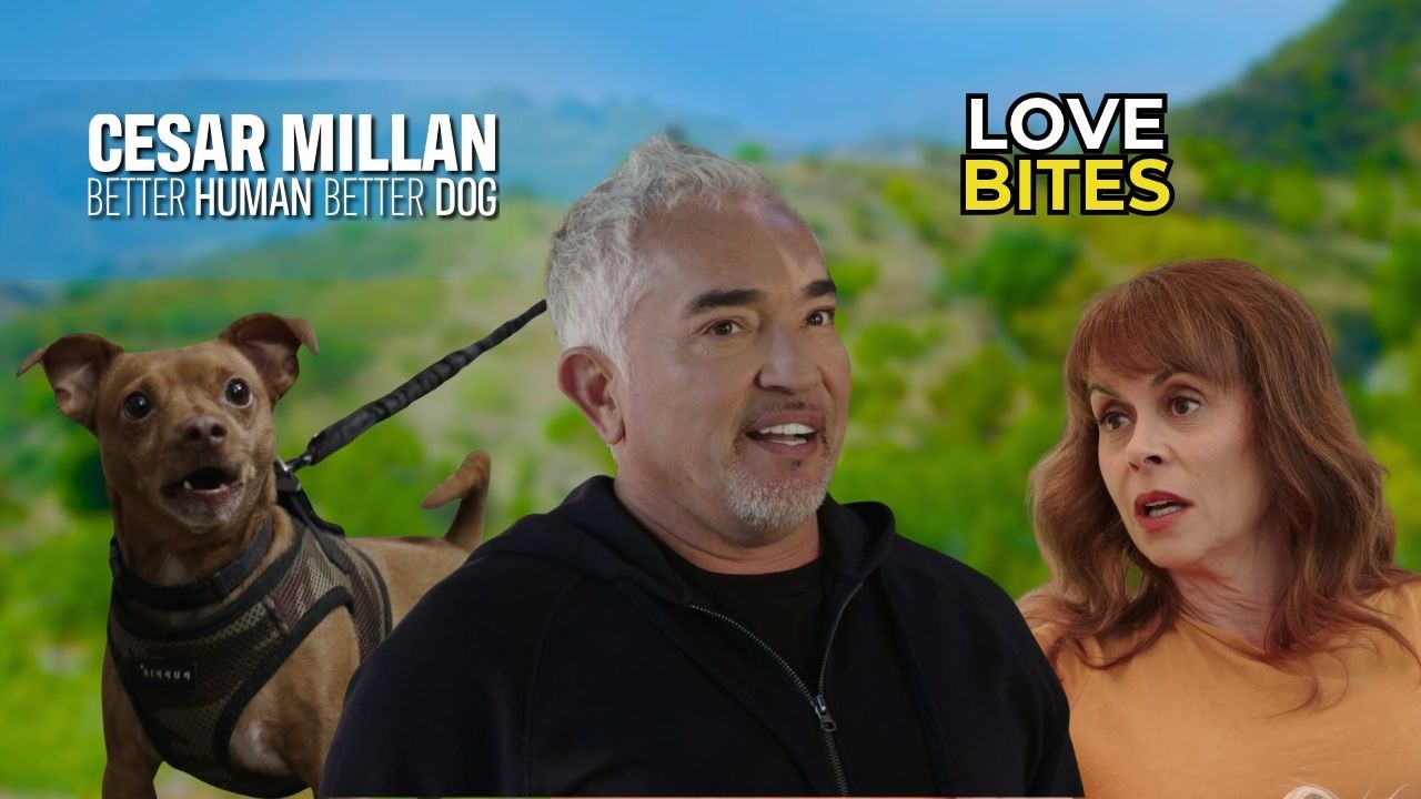 Her Dog Made Dating Impossible... Then I Found the Real Fear | Better Human Better Dog | S05E09