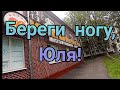 Непруха по здоровью, виноград и странный выключатель.