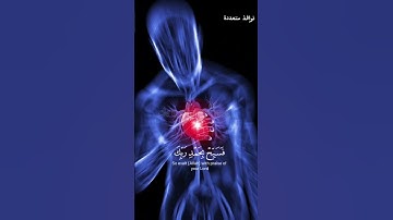 و لقد نعلم أنك يضيق صدرك بما يقولون #هزاع_البلوشي #قرآن #تلاوة_خاشعة #سبحان_الله_وبحمده #اكسبلور